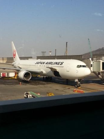 JAL503m.jpg