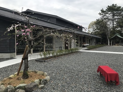 20220328_焼津神社の桜と刀_005