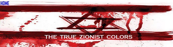 the true zionist colors flag