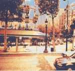 sunprint-05.jpg