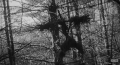 THE BLAIR WITCH PROJECT001