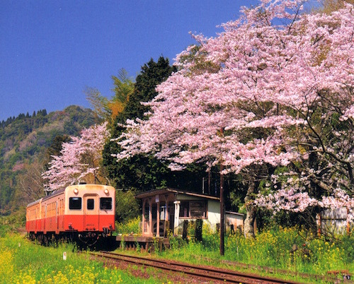 鉄道の旅カレンダー1904
