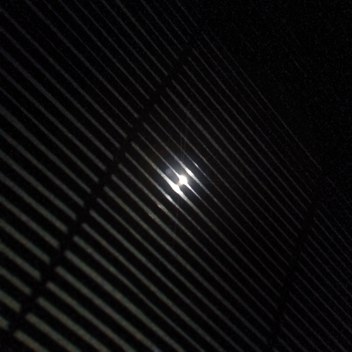 moonlit.jpg