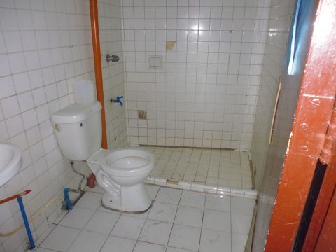 P1010813_480.jpg