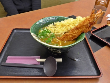 20150125_滋賀県湖南市_みくりやうどん10_海老天・エビフライカレーうどん(1177)r