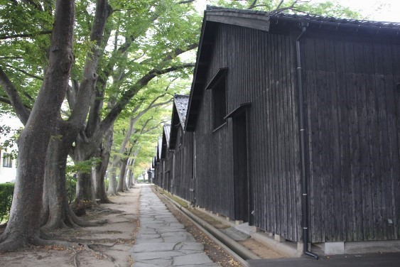 ケヤキ並木の山居倉庫