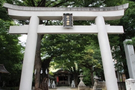 戸部杉山神社とネズミ０１